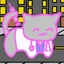 Doctor Cat Master