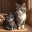 Cat Brotherhood