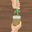 Holy Herb