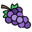 Fruit Full