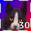 Paws and Effect