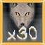 Wolf pack!