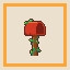 Decoration Novice