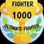 Ultimate Fighter