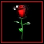 Special Day