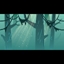 Reached Jungle Level