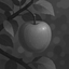 Bronze Apple