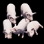 Pig King
