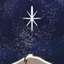 星