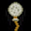 To the moon!
