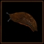 Brown Slug expert