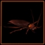 American Cockroach expert