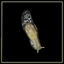 Arboreal Slug expert