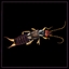 Earwig expert