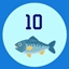 Novice Angler