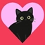 Cat Lover