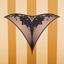 Panties 4