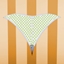 Panties 9