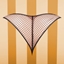 Panties 3