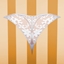 Panties 6