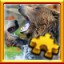 Grizzlies Complete!