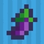 The First Eggplant