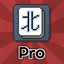 Mahjong Professional
