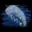 Written in the Stars