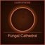 Fungal Cathedral