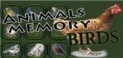 Animals Memory: Birds