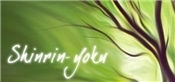 Shinrin-yoku: Forest Meditation and Relaxation