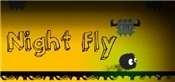 Night Fly