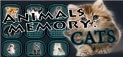 Animals Memory: Cats