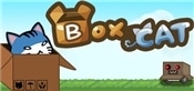 BoxCat