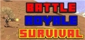 Battle Royale Survival