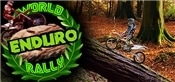 World Enduro Rally