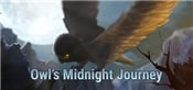 Owls Midnight Journey