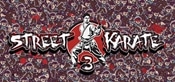 Street karate 3