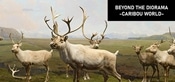 Beyond The Diorama: Caribou World