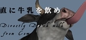 Directly Drink Milk from Cow　【直に牛乳を飲め】