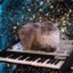 Cat On A Keyboard In Space