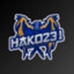 Hako231