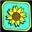 Sunflower Master achievement