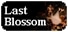 Last Blossom: Roleplaying tabletop based scene