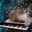 Cat On A Keyboard In Space