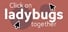 Click on ladybugs together Achievements